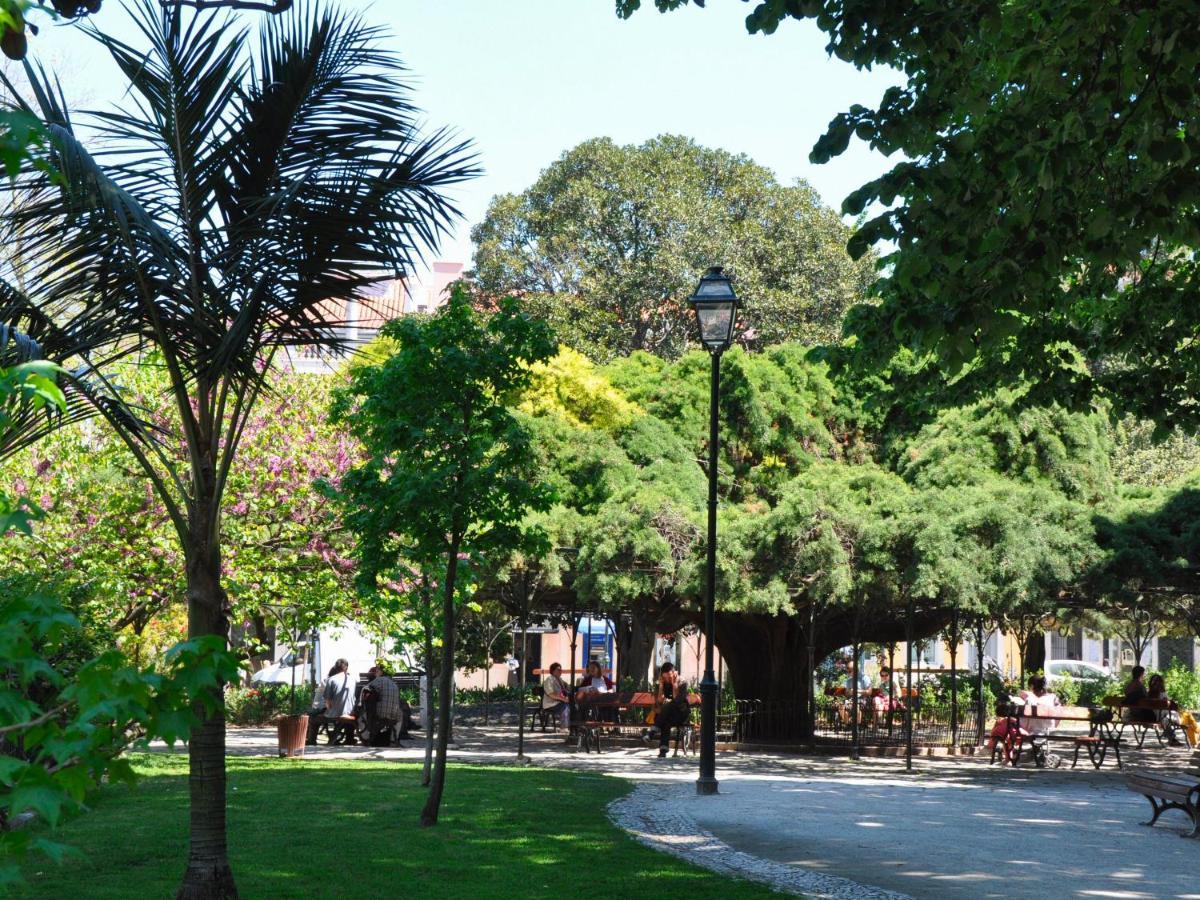 Typical Portuguese Apartment In Sao Bento Lisabona Exterior foto